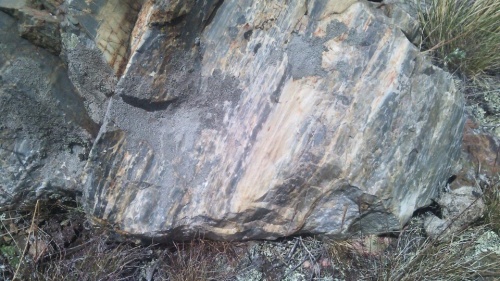 Гигантские зелёные валуны для ландшафтного дизайна весом более 5 тонн купить в Перми