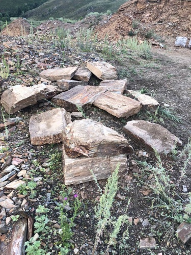 Плитняк кора дерева 50-100мм для пошаговых дорожек купить в Перми